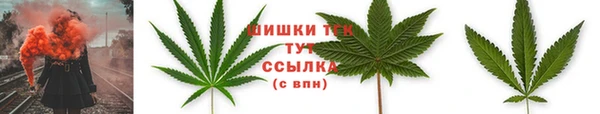 метадон Пересвет